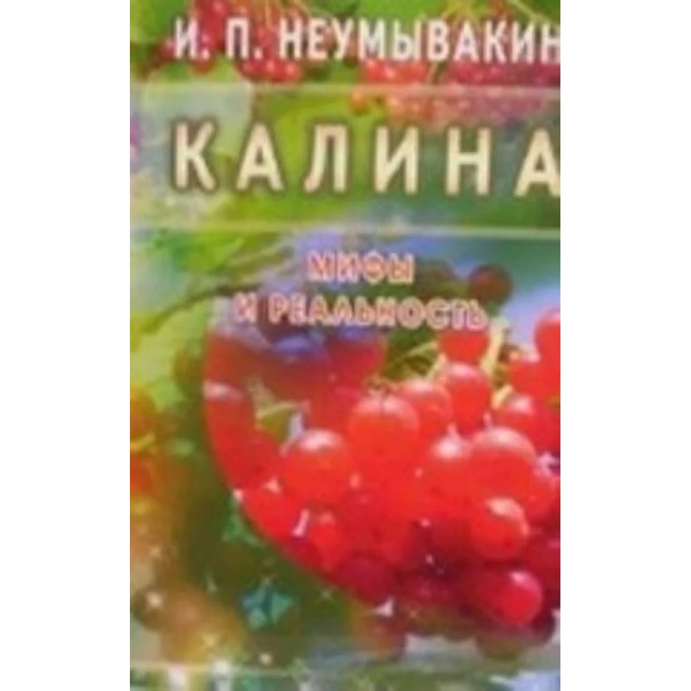 Калина. Мифы и реальность