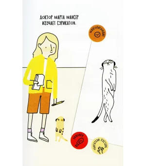 Как сурикаты заказывают пиццу. Безумные факты о животных и учёных, которые их исследуют!