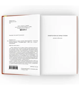 Ложится мгла на старые ступени: роман-идиллия