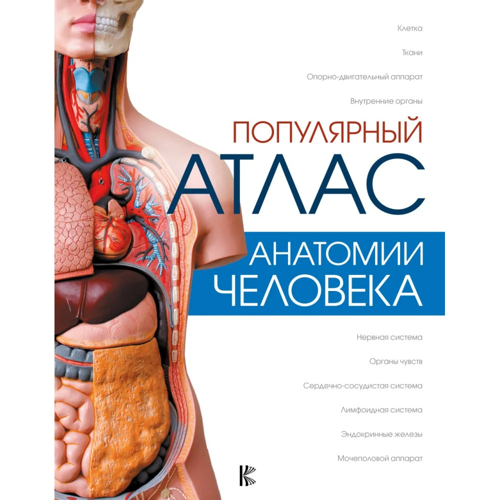 Популярный атлас анатомии человека