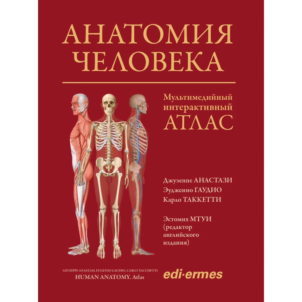 Анатомия человека:атлас
